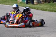 20110501_ales_agnus (2410)